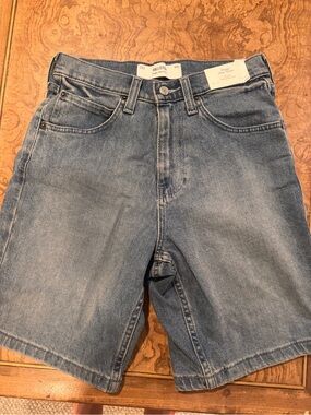 Hollister Light Blue Denim Jean Shorts